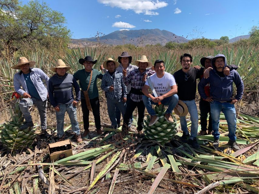 The Mezcal Journey - Frequently Asked Questions