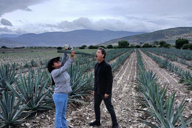 The Mezcal Tour - Authenticity and Value