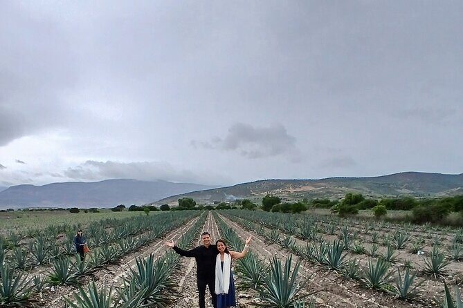 The Mezcal Tour - Final Thoughts