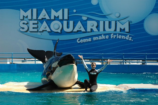 The Miami Sightseeing Flex Pass: 35 Attractions + Hop on Hop off - Sum Up
