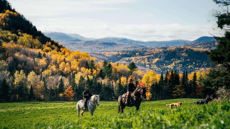 The Montagnarde: Guided horseback ride on mountain trails. - Discover Charlevoix on Horseback: What You Can Expect