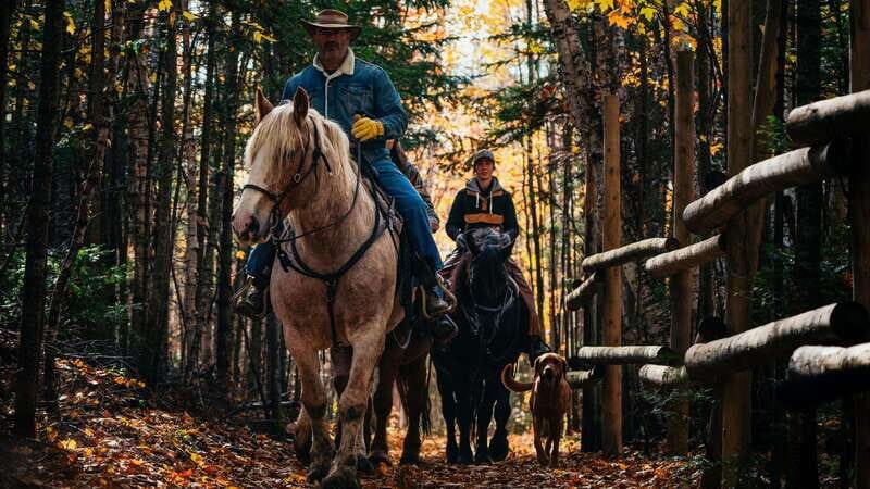 The Montagnarde: Guided horseback ride on mountain trails. - Final Thoughts