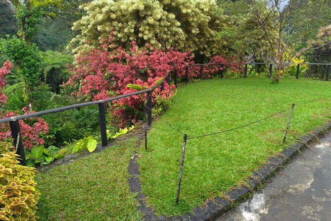 The Montreal Garden Tour with Fraser's Taxi and Tours - What the Tour Offers