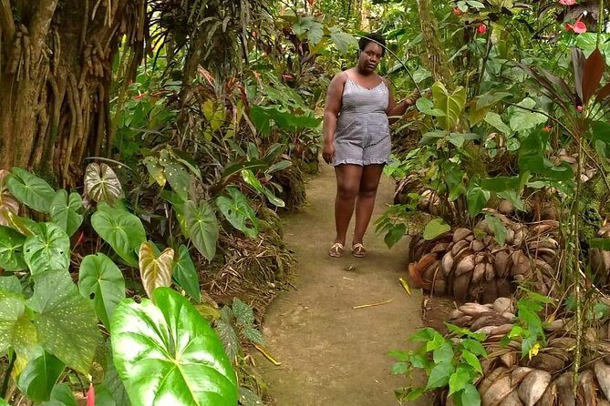 The Montreal Garden Tour with Fraser's Taxi and Tours - What Past Travelers Say