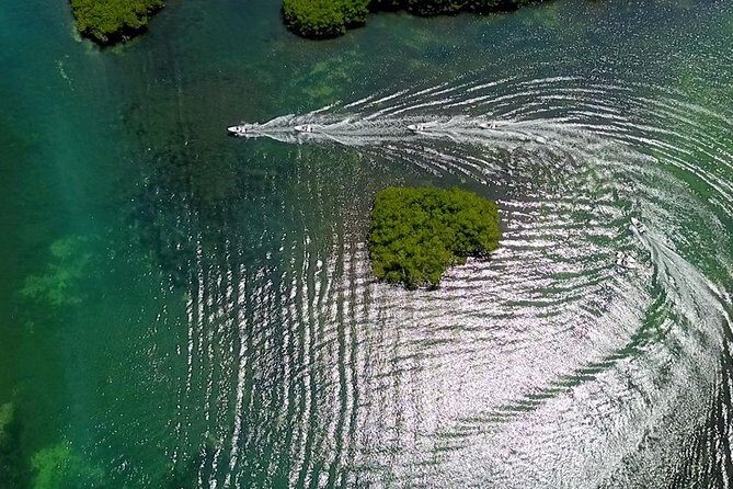 The most EXTREME SPEEDBOAT TOUR in Cancun. Includes Snorkel and Tour Guide - An In-Depth Look at the Experience