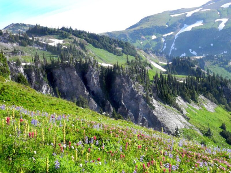 The Mount Rainier Majestic Trails Self-Guided Audio Tour - Pricing and Booking