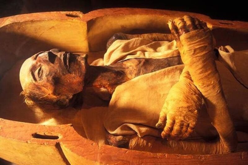 The National Museum of Egyptian Civilization - Directions to the Museum