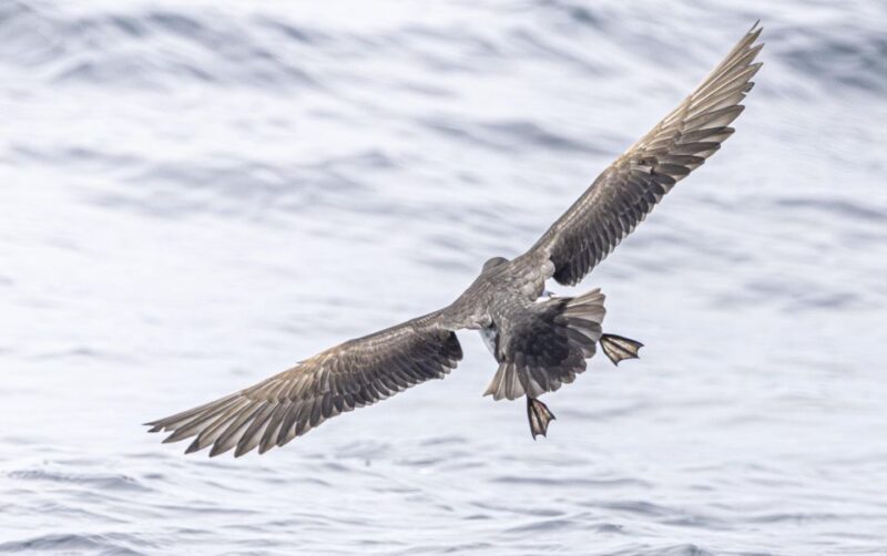 The North Coast Boat Trip Experience - An In-Depth Look at the North Coast Boat Trip Experience