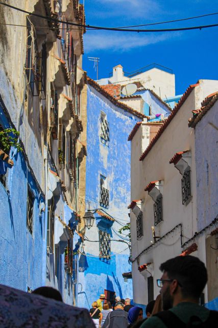 The North of Morocco in 3 Days ; Including Fes - Experiencing the Kasbah and Medina of Tangier