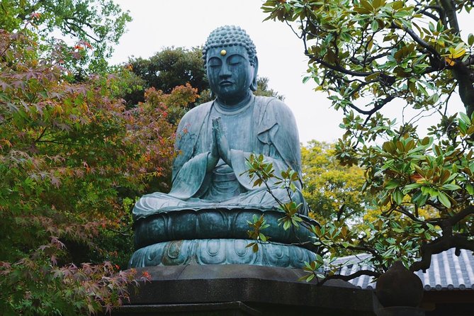 The Old Quarter of Tokyo - Yanaka Walking Tour - Personalized Attention on Small-Group Tour