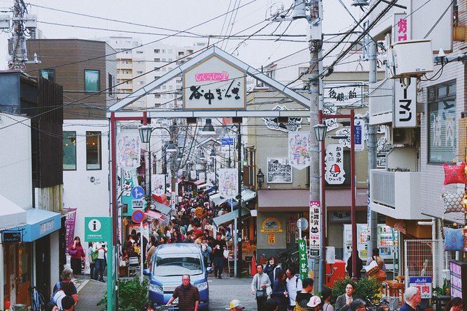 The Old Quarter of Tokyo - Yanaka Walking Tour - Tour Accessibility and Suitability
