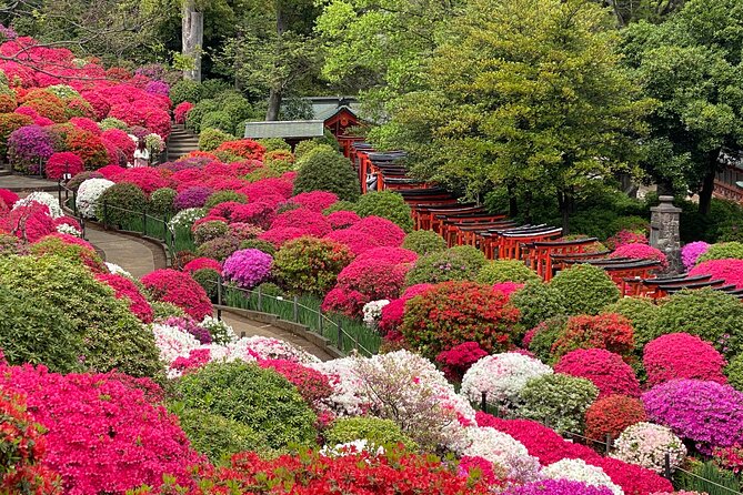 The Old Quarter of Tokyo - Yanaka Walking Tour - Cancellation and Rescheduling Policy