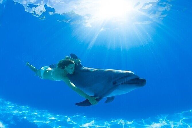 The only Natural Space Dolphin Encounter in Cabo Optional Pickup! - The Sum Up