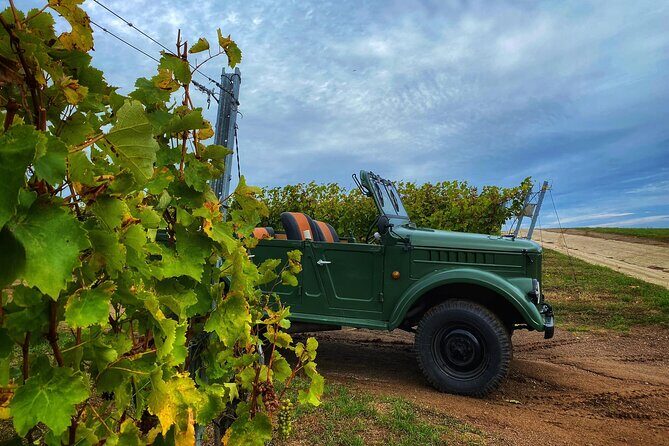 The only Wine Cocktail Club in Tokaj, Lunch & Fun, Hungary - The Sum Up