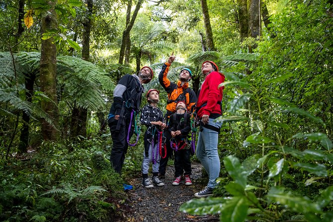 The Original Canopy Zipline Experience Private Tour From Auckland - Inclusions and Amenities