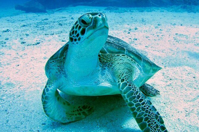 The Original Eco Tour Full-Day Around the Island of Sint Maarten - A Full Day of Adventure on the Water