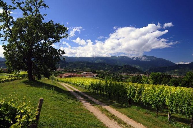The Original Private Prosecco Tour All Inclusive From Conegliano - Booking and Cancellation Policy
