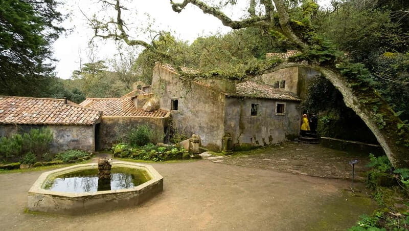 The Other Side of Sintra - Forgotten Woods Tour - What’s Included and What to Consider