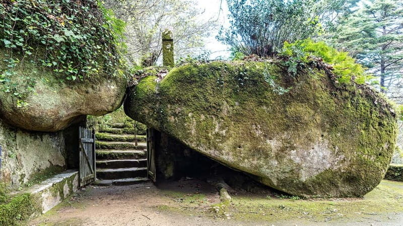 The Other Side of Sintra - Forgotten Woods Tour - Authentic Travel Experience