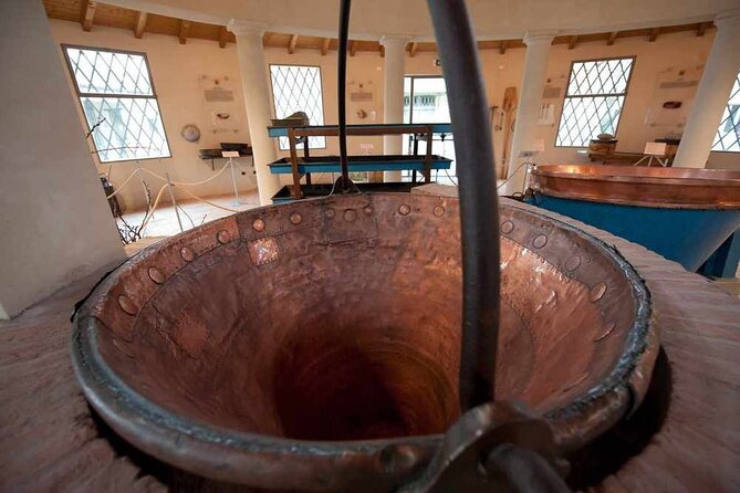 The Parmigiano Reggiano - Parmesan Cheese Museum - Cheese Tasting Experience