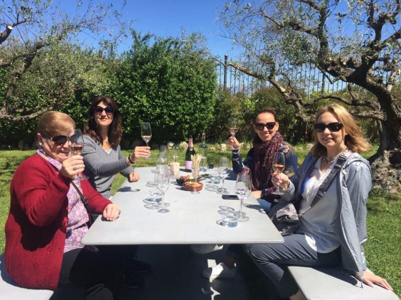 The Penedès: Cava Winery Small Group Tour - Key Points