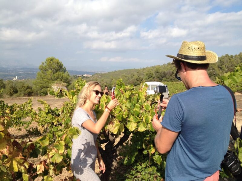 The Penedès: Cava Winery Small Group Tour - Winery Visit