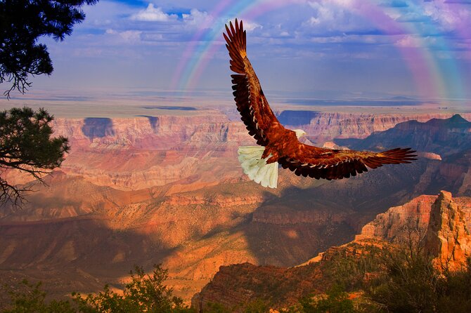 The Perfect Grand Canyon Tour With Local Expert Guides - Accessibility and Special Considerations