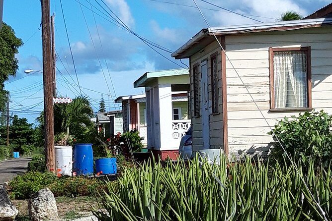 The Real Barbados 6 hour Island Tour - An Overview of the Experience