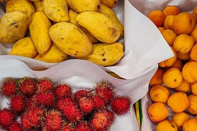 The Real Mexican Street Food Bike Ride/Roma-Condesa/All-Inclusive - The Experience: A Detailed Look at the Itinerary