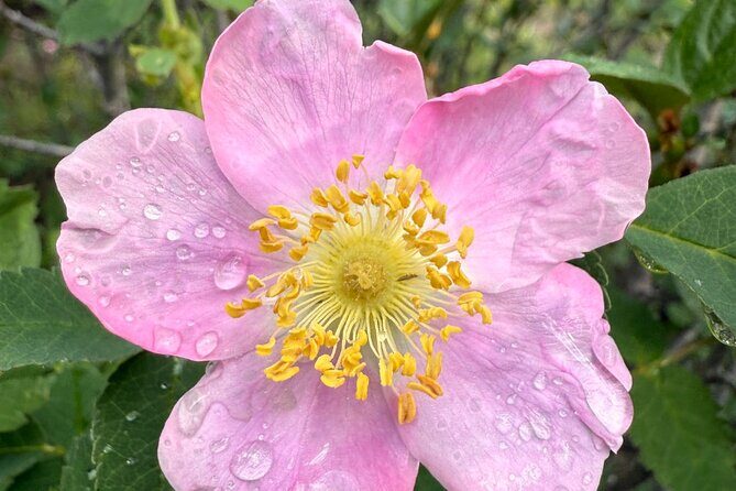 The Sacred Mountains Of Banff And Canmore Walking Tour - Final Thoughts