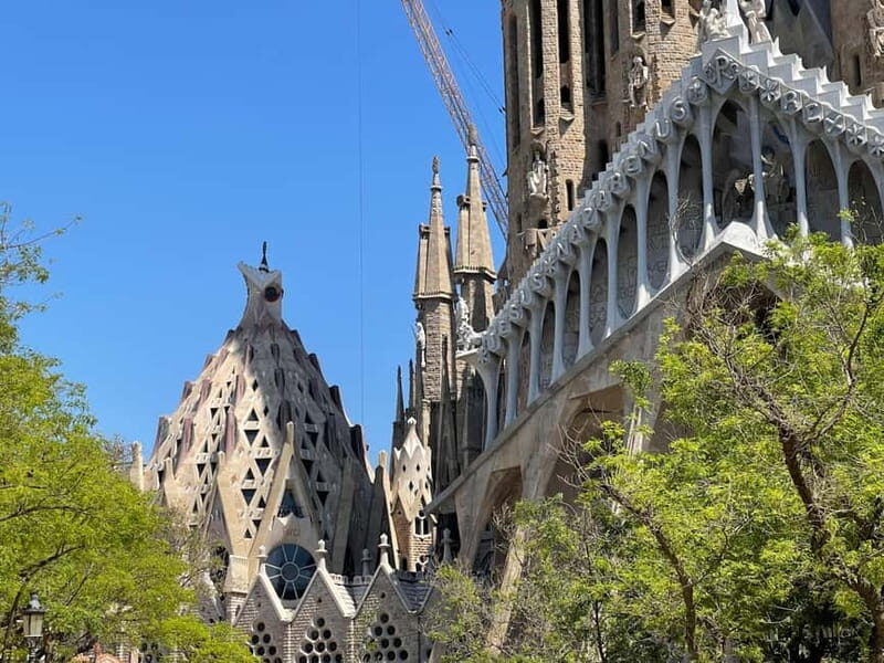 The Sacred Vision: Sagrada Família Guided Experience - An In-Depth Look at the Sagrada Família Guided Tour