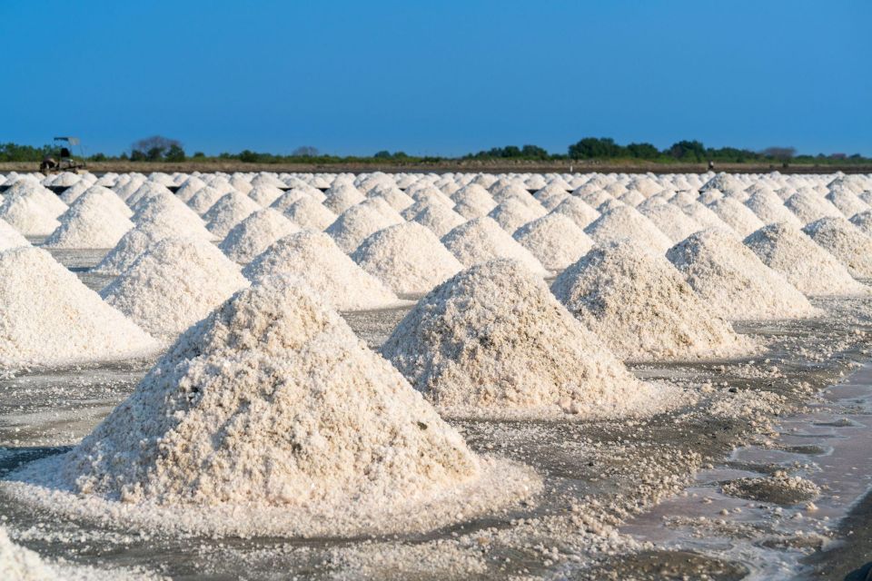 The Salt Pans of Marsala - Visit and Sunset in the Salt Pan - Comfortable Van Ride From Palermo