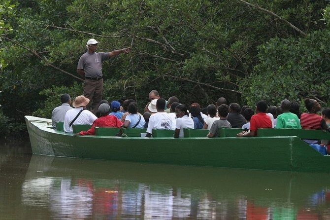 The Scarlet Ibis - Caroni Swamp Tour - The Itinerary Breakdown: What to Expect