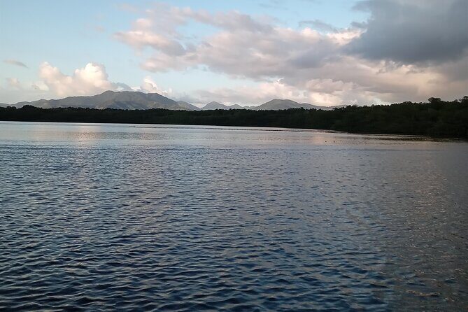 The Scarlet Ibis - Caroni Swamp Tour - Insights from Reviews: Authentic Perspectives