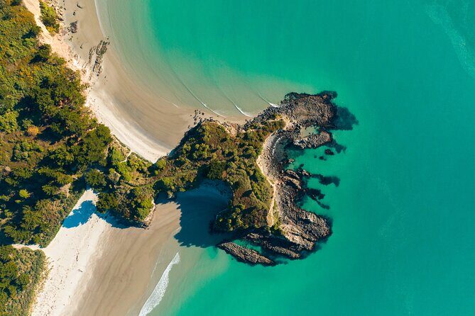 The Seasider - See Otagos Coastline From a New Perspective - The Sum Up