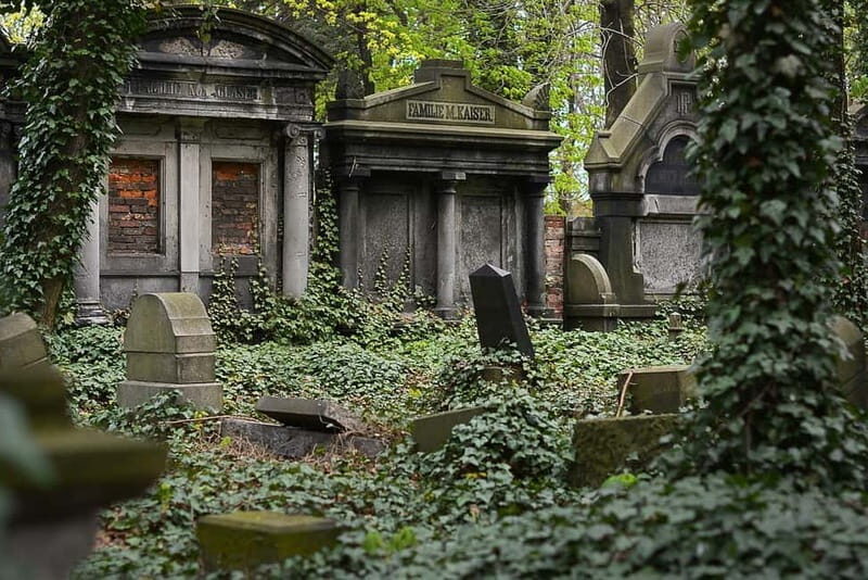 The secret of finality  a silent cemetery tour - The Sum Up