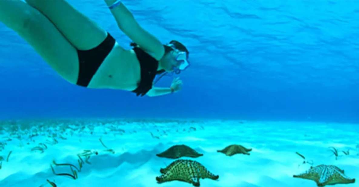 The Sky, Catamaran and Jeep Adventure - Key Points