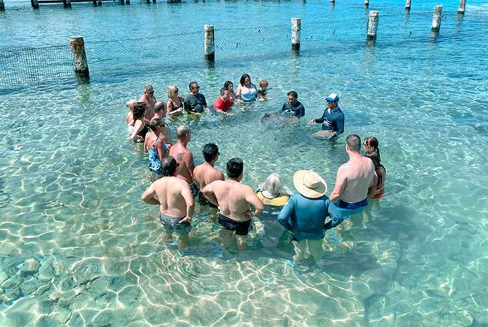 The Sky, Catamaran and Jeep Adventure - Discovering Marine Life