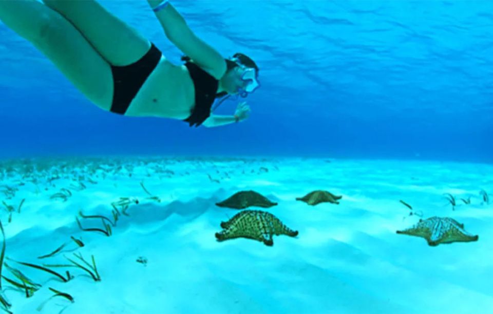 The Sky, Catamaran and Jeep Adventure - Cozumel Jimny Excursion