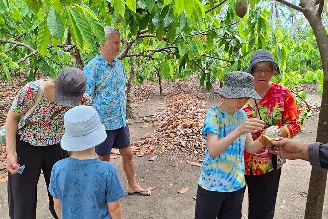 The Solomon Chocolate trail - The Sum Up