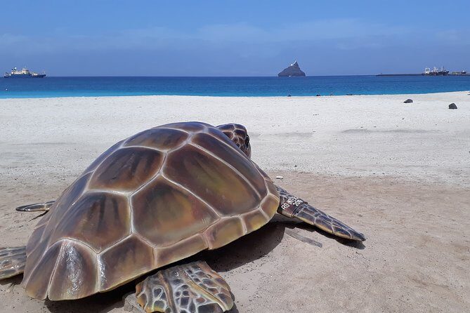 The Soul Of Pirates Boat Trip Adventure Caribbean Charter Full Day SXM - The Experience in Context