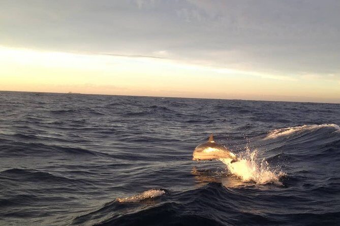 The Soul Of Pirates Boat Trip Adventure Caribbean Charter Full Day SXM - FAQ: Your Questions Answered