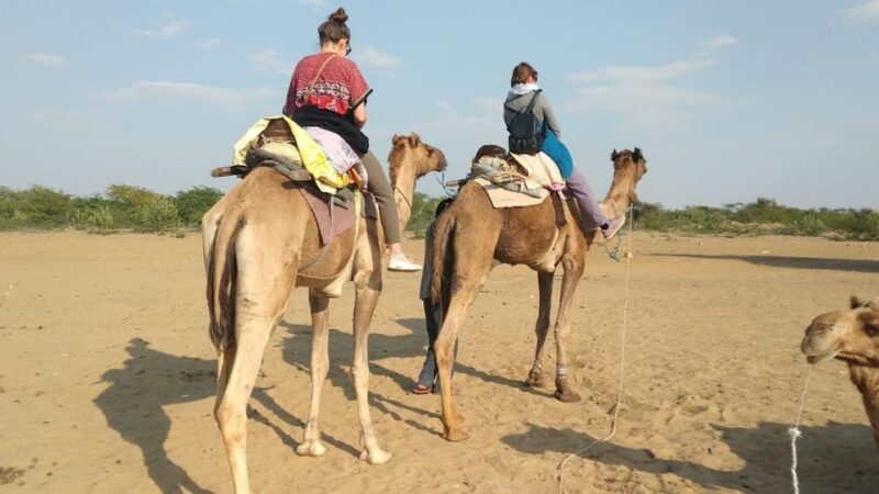 The Splendor of Bygone Times - Rajasthan Tour - Good To Know