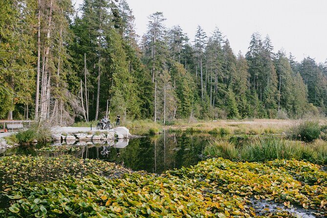 The Stanley Park Family Tour by Cycle City Tours - A Detailed Look at the Tour Experience