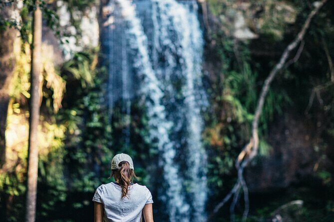 The Tastes of Tamborine Mountain - FAQ