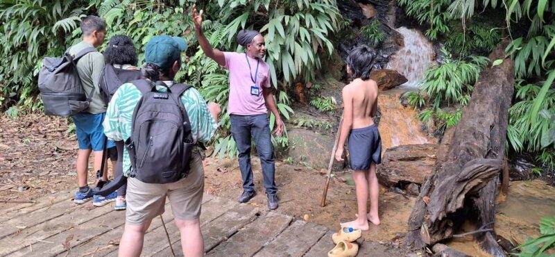 The Tobago Rainforest Tour - Key Points