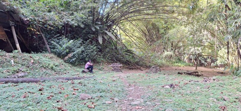 The Tobago Rainforest Tour - The Sum Up