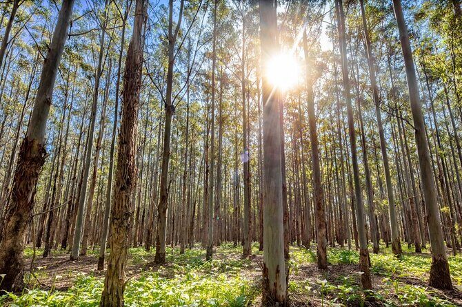 The Top-Tier Tour - Practical Details That Matter