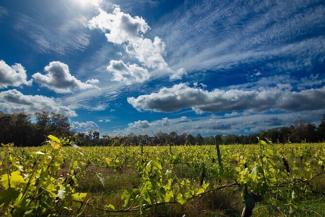 The Top-Tier Tour - Who Will Love This Tour?