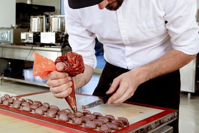 The Turin Chocolate Factory Guided Tour & Tasting - Key Points